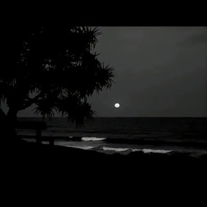 涩里番网页版人口
