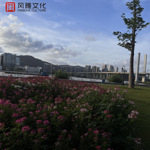 涩里番网页版人口
